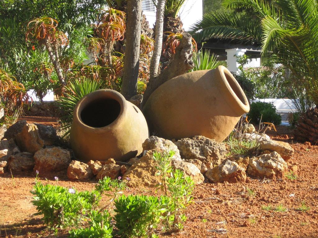 Playa Des Figueral Hacienda Encanto Del Rio מראה חיצוני תמונה